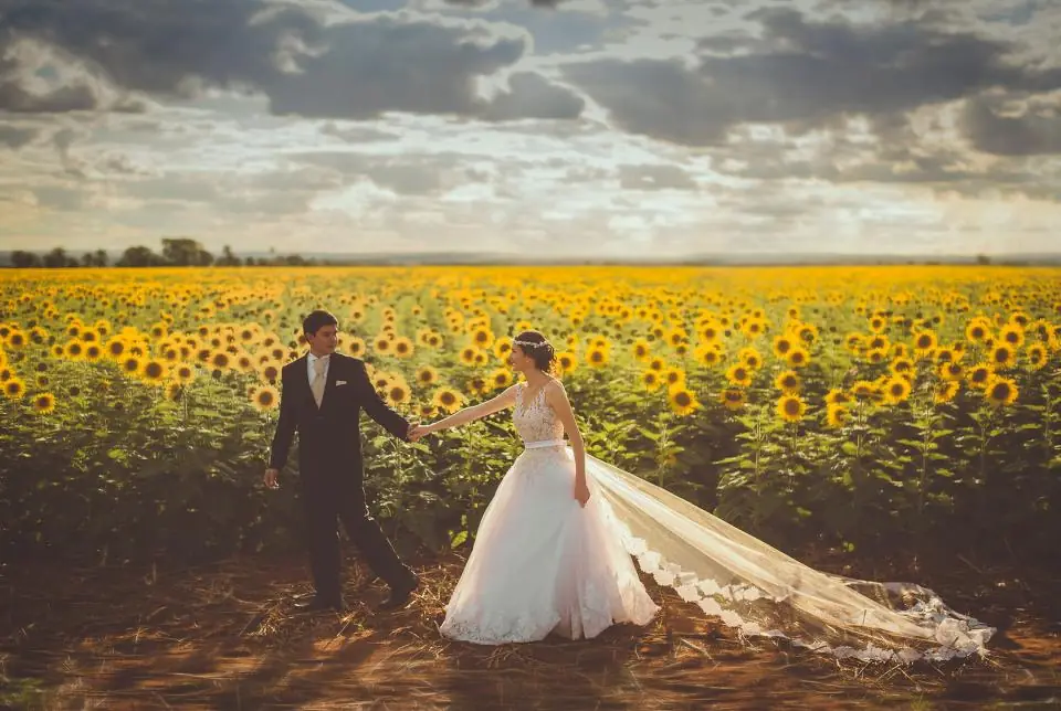 Novios en un campo de girasoles